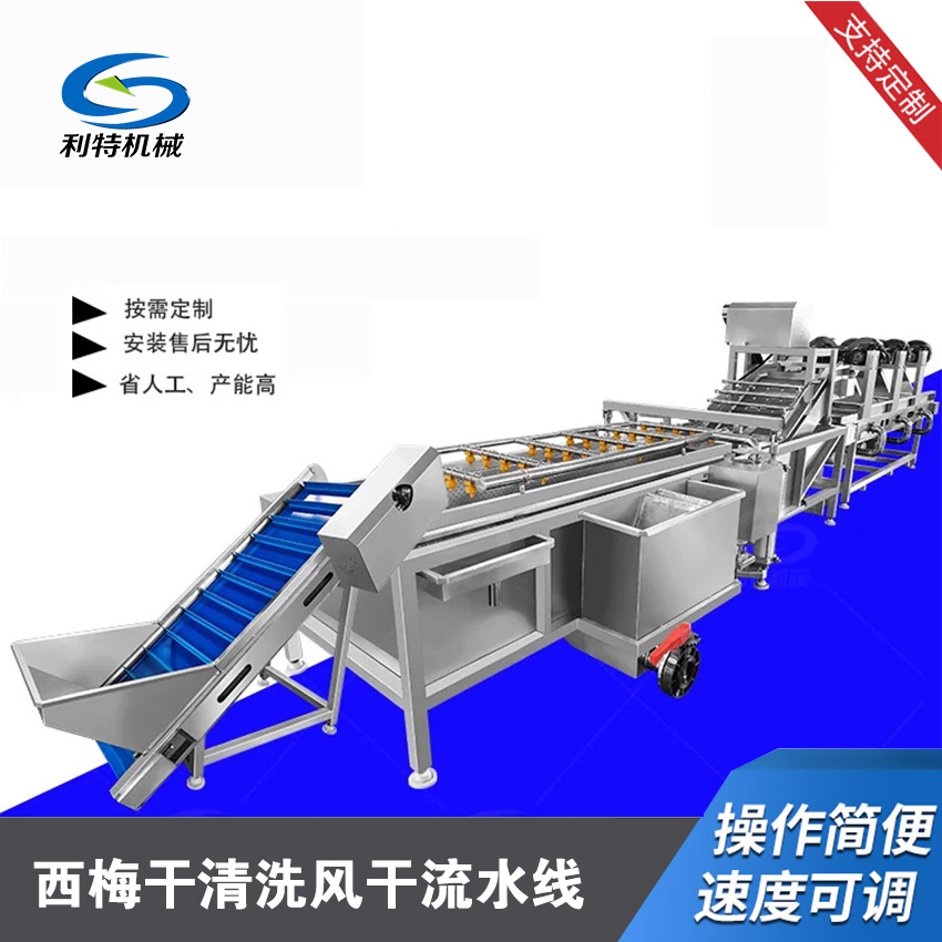 西(xī)梅幹清洗風(fēng)幹流水(shuǐ)線