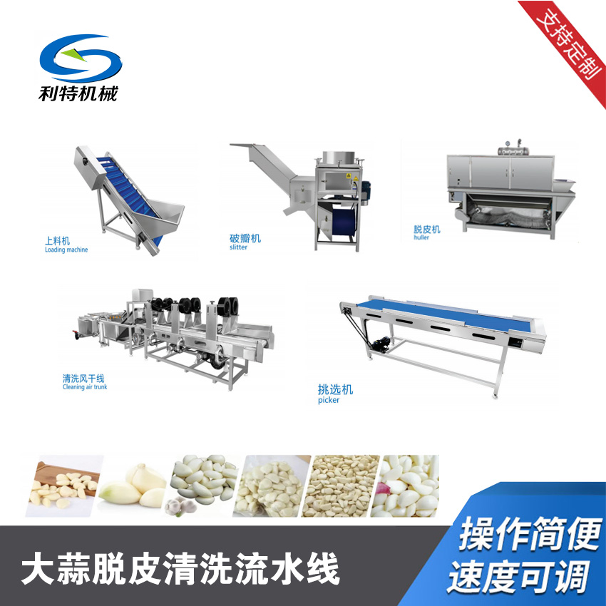 大(dà)蒜脫皮清洗流水(shuǐ)線